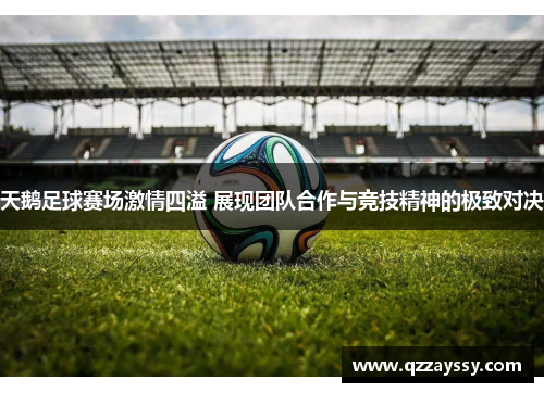 天鹅足球赛场激情四溢 展现团队合作与竞技精神的极致对决