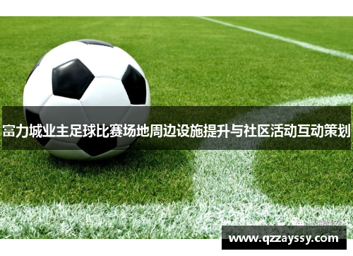富力城业主足球比赛场地周边设施提升与社区活动互动策划